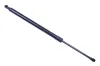 Gasfeder, Koffer-/Laderaum DENCKERMANN G110343