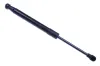 Gasfeder, Motorhaube DENCKERMANN G110394