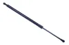 Gasfeder, Koffer-/Laderaum DENCKERMANN G110412