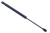 Gasfeder, Koffer-/Laderaum DENCKERMANN G110413