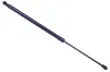 Gasfeder, Koffer-/Laderaum DENCKERMANN G110418