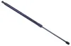 Gasfeder, Koffer-/Laderaum DENCKERMANN G110434