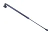 Gasfeder, Koffer-/Laderaum DENCKERMANN G110440