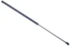 Gasfeder, Motorhaube DENCKERMANN G110445