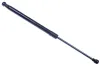 Gasfeder, Koffer-/Laderaum DENCKERMANN G110446