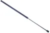 Gasfeder, Koffer-/Laderaum DENCKERMANN G110455