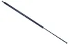 Gasfeder, Koffer-/Laderaum DENCKERMANN G110469