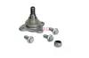 Gelenksatz, Antriebswelle Vorderachse radseitig Schaeffler FAG 771 0552 30