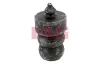 Anschlagpuffer, Federung Hinterachse Schaeffler FAG 810 0040 10