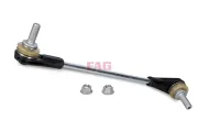 Stange/Strebe, Stabilisator Vorderachse rechts Schaeffler FAG 818 0725 10