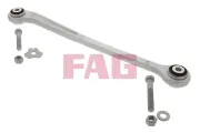 Lenker, Radaufhängung Hinterachse unten Schaeffler FAG 821 0220 10
