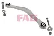 Lenker, Radaufhängung Hinterachse oben hinten Schaeffler FAG 821 0221 10
