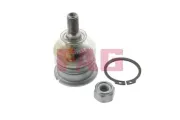 Trag-/Führungsgelenk Hinterachse oben Schaeffler FAG 825 0038 10
