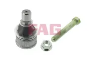 Trag-/Führungsgelenk Vorderachse Schaeffler FAG 825 0246 10