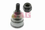 Trag-/Führungsgelenk Vorderachse unten Schaeffler FAG 825 0308 10