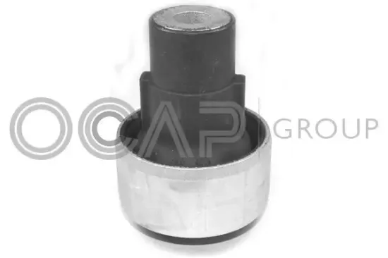 Lagerung, Lenker unten vorne Vorderachse rechts Vorderachse links OCAP 1216254 Bild Lagerung, Lenker unten vorne Vorderachse rechts Vorderachse links OCAP 1216254