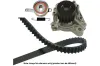 Wasserpumpe + Zahnriemensatz KAVO PARTS DKW-2015