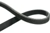 Keilrippenriemen KAVO PARTS DMV-5502