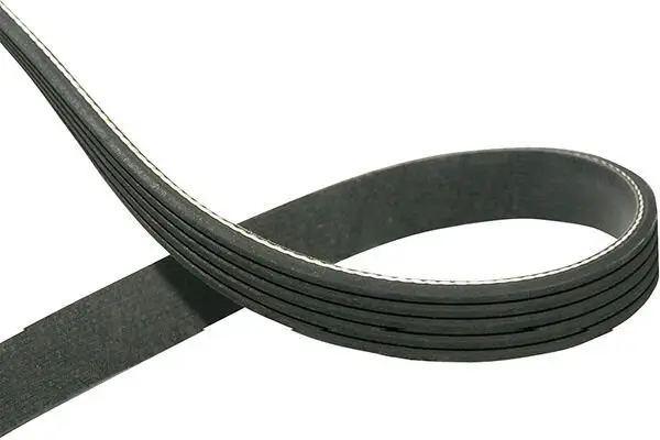 Keilrippenriemen KAVO PARTS DMV-5526