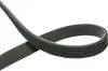 Keilrippenriemen KAVO PARTS DMV-9019