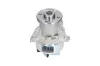 Wasserpumpe, Motork&uuml;hlung KAVO PARTS DW-1719