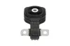 Lagerung, Motor hinten unten KAVO PARTS EEM-2026