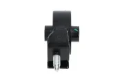 Lagerung, Motor hinten links KAVO PARTS EEM-5563