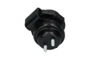 Lagerung, Motor vorne KAVO PARTS EEM-6653