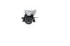 Lagerung, Motor rechts KAVO PARTS EEM-9072 Bild Lagerung, Motor rechts KAVO PARTS EEM-9072