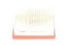 Luftfilter KAVO PARTS FAF-10021 Bild Luftfilter KAVO PARTS FAF-10021