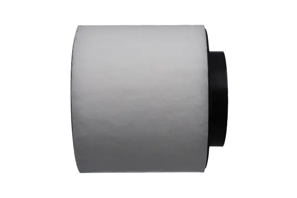 Luftfilter links rechts KAVO PARTS FAF-10448