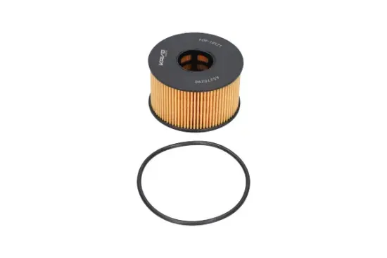 Ölfilter KAVO PARTS FOF-10171 Bild Ölfilter KAVO PARTS FOF-10171