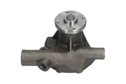 Wasserpumpe, Motorkühlung KAVO PARTS NW-2212