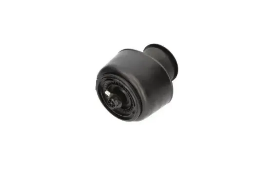 Luftfeder, Fahrwerk Hinterachse KAVO PARTS SAS-10001 Bild Luftfeder, Fahrwerk Hinterachse KAVO PARTS SAS-10001