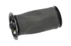 Luftfeder, Fahrwerk Hinterachse KAVO PARTS SAS-10005 Bild Luftfeder, Fahrwerk Hinterachse KAVO PARTS SAS-10005