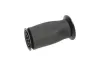 Luftfeder, Fahrwerk Hinterachse KAVO PARTS SAS-10005 Bild Luftfeder, Fahrwerk Hinterachse KAVO PARTS SAS-10005