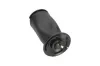 Luftfeder, Fahrwerk Hinterachse KAVO PARTS SAS-10005 Bild Luftfeder, Fahrwerk Hinterachse KAVO PARTS SAS-10005