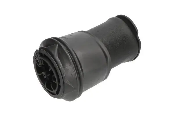 Luftfeder, Fahrwerk Hinterachse KAVO PARTS SAS-10008