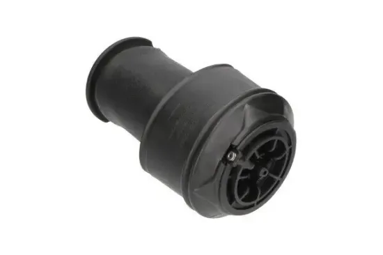 Luftfeder, Fahrwerk Hinterachse KAVO PARTS SAS-10008 Bild Luftfeder, Fahrwerk Hinterachse KAVO PARTS SAS-10008