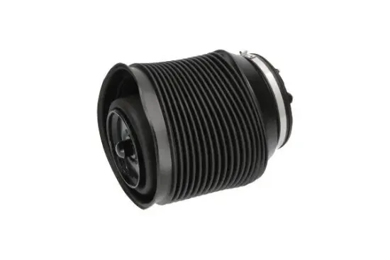 Luftfeder, Fahrwerk Hinterachse rechts KAVO PARTS SAS-10012 Bild Luftfeder, Fahrwerk Hinterachse rechts KAVO PARTS SAS-10012