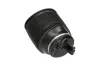 Luftfeder, Fahrwerk Hinterachse rechts KAVO PARTS SAS-10012 Bild Luftfeder, Fahrwerk Hinterachse rechts KAVO PARTS SAS-10012
