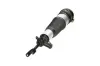 Luftfederbein Vorderachse links KAVO PARTS SAS-10015