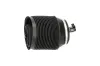 Luftfeder, Fahrwerk Hinterachse links KAVO PARTS SAS-10016 Bild Luftfeder, Fahrwerk Hinterachse links KAVO PARTS SAS-10016