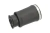 Luftfeder, Fahrwerk Hinterachse links KAVO PARTS SAS-10017 Bild Luftfeder, Fahrwerk Hinterachse links KAVO PARTS SAS-10017