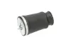 Luftfeder, Fahrwerk Hinterachse links KAVO PARTS SAS-10017 Bild Luftfeder, Fahrwerk Hinterachse links KAVO PARTS SAS-10017