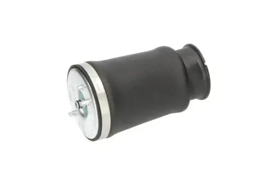 Luftfeder, Fahrwerk Hinterachse links KAVO PARTS SAS-10017 Bild Luftfeder, Fahrwerk Hinterachse links KAVO PARTS SAS-10017