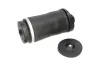 Luftfeder, Fahrwerk Hinterachse KAVO PARTS SAS-10018 Bild Luftfeder, Fahrwerk Hinterachse KAVO PARTS SAS-10018