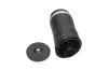 Luftfeder, Fahrwerk Hinterachse KAVO PARTS SAS-10018 Bild Luftfeder, Fahrwerk Hinterachse KAVO PARTS SAS-10018