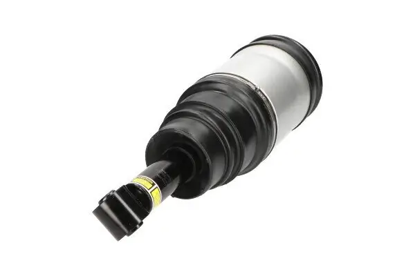 Luftfederbein Hinterachse KAVO PARTS SAS-10020