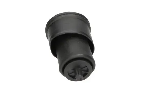 Luftfeder, Fahrwerk Hinterachse KAVO PARTS SAS-10024 Bild Luftfeder, Fahrwerk Hinterachse KAVO PARTS SAS-10024